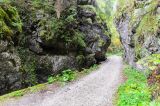 201309211025-AJS_7591.jpg